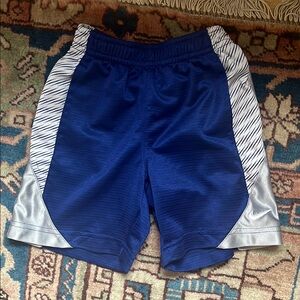 Nike Blue and Silver Athletic Shorts